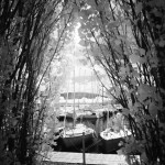 Cliquez sur la vignette pour obtenir l’agrandissement maximal.