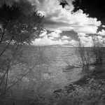 Cliquez sur la vignette pour obtenir l’agrandissement maximal.