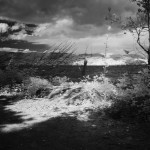 Cliquez sur la vignette pour obtenir l’agrandissement maximal.