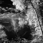 Cliquez sur la vignette pour obtenir l’agrandissement maximal.