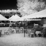 Cliquez sur la vignette pour obtenir l’agrandissement maximal.