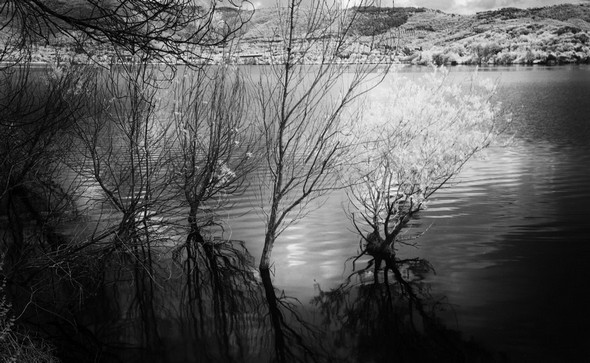 Le regard complètement relevé, la côte nord du lac Trasimène se distingue aisément !
