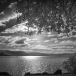 Cliquez sur la vignette pour obtenir l’agrandissement maximal.