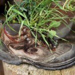 Cliquez sur la vignette pour obtenir l’agrandissement maximal.