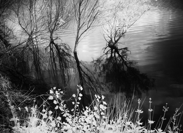 Tout au bord de la berge de l'esplanade de saint François.