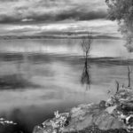 Cliquez sur la vignette pour obtenir l’agrandissement maximal.