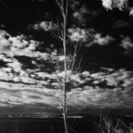 Cliquez sur la vignette pour obtenir l’agrandissement maximal.