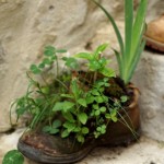 Cliquez sur la vignette pour obtenir l’agrandissement maximal.