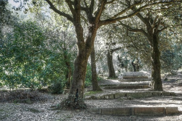 Allée boisée, présentant un certain nombre de marches.Elle unit la viale Marchesa Isabella (à son sommet) à la jonction de la strada panoramica nord au sentiero dei lecci.