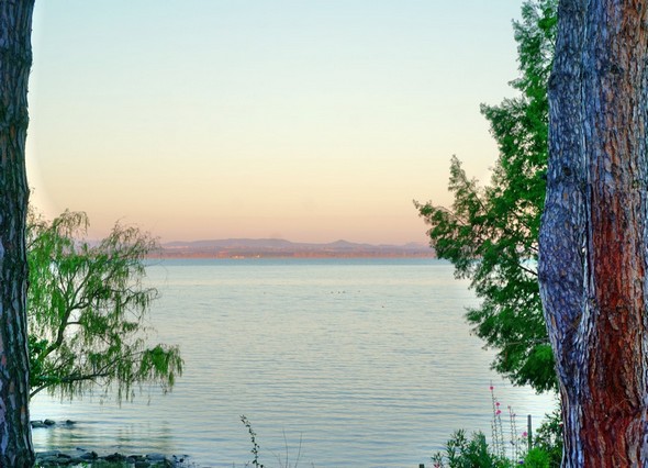 Vue depuis le balcon de mon bureau.Rendu extraction de texture (voir le tronc d'arbre à droite).19/07/2016 - 06:00