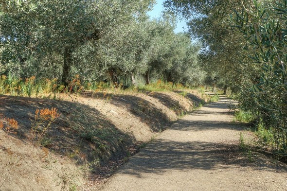 La strada panoramica del Molino en direction du nord.