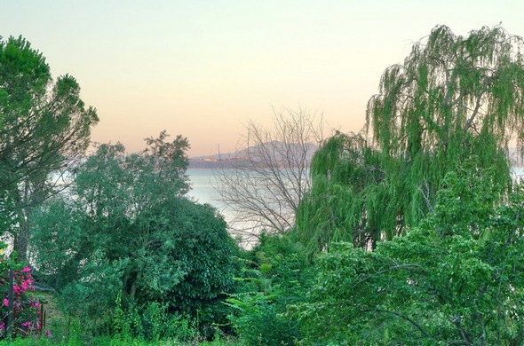 Idem.En arrière-plan, Castiglione del Lago.Rendu impressionniste.19/07/2016 - 05:59