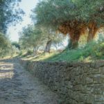 Cliquez sur la vignette pour obtenir l’agrandissement maximal.