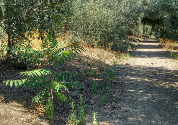 Idem.En direction du nord.