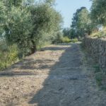 Cliquez sur la vignette pour obtenir l’agrandissement maximal.