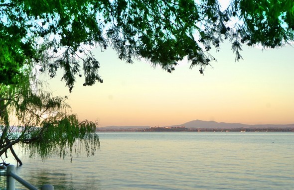 Vue prise du bord de notre jardin.En arrière-plan, sur sa butte, Castiglione del Lago déjà baigné par les rayons de soleil.Rendu impressionniste.19/07/2016 - 06:02
