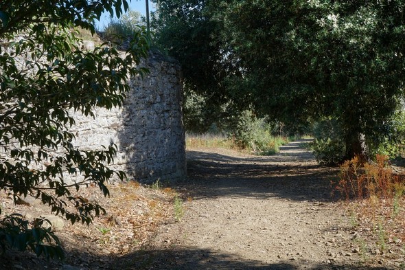 Idem.Un peu plus loin, en direction du nord.Une partie de la base du moulin est visible (quadrant supérieur gauche).