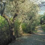 Cliquez sur la vignette pour obtenir l’agrandissement maximal.