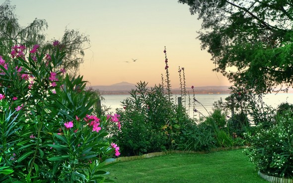 Les fleurs du jardin de Fabienne.Au fond, la rive ouest du Trasimène.Rendu impressionniste.19/07/2016 - 06:01