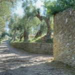 Cliquez sur la vignette pour obtenir l’agrandissement maximal.