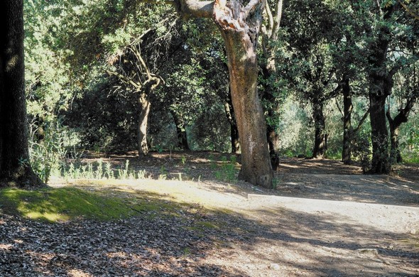 06 HDR DSPoint de départ supérieur de cette allée.