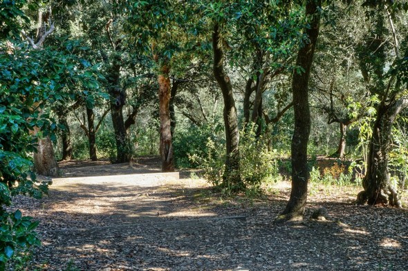 Descente progressive dans cette belle allée ombragée.