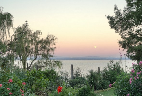 Partie de notre jardin, le lac Trasimène et la pleine lune.Rendu réel / naturel.20/07/2016 - 05:49