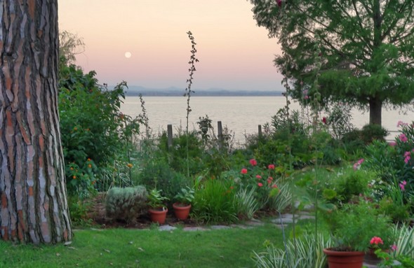 Idem.Rendu presque impressionniste.20/07/2016 - 05:47