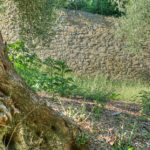 Cliquez sur la vignette pour obtenir l’agrandissement maximal.