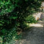 Cliquez sur la vignette pour obtenir l’agrandissement maximal.