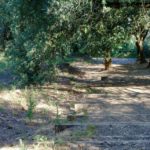 Cliquez sur la vignette pour obtenir l’agrandissement maximal.