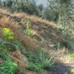 Cliquez sur la vignette pour obtenir l’agrandissement maximal.