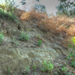 Cliquez sur la vignette pour obtenir l’agrandissement maximal.