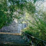 Cliquez sur la vignette pour obtenir l’agrandissement maximal.