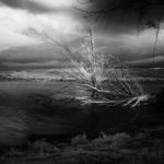 Cliquez sur la vignette pour obtenir l’agrandissement maximal.