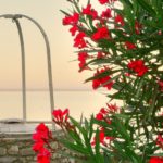 Cliquez sur la vignette pour obtenir l’agrandissement maximal.