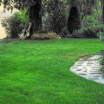 Cliquez sur la vignette pour obtenir l’agrandissement maximal.