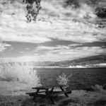 Cliquez sur la vignette pour obtenir l’agrandissement maximal.