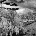 Cliquez sur la vignette pour obtenir l’agrandissement maximal.