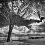 Cliquez sur la vignette pour obtenir l’agrandissement maximal.