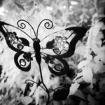 Cliquez sur la vignette pour obtenir l’agrandissement maximal.