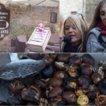 Cliquez sur la vignette pour obtenir l’agrandissement maximal.