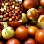 Cliquez sur la vignette pour obtenir l’agrandissement maximal.