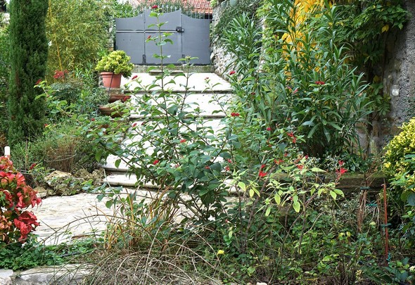 Vue du pied de la rampe d'accès à notre maison depuis la via Tre Martiri.24 novembre 2016