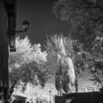 Cliquez sur la vignette pour obtenir l’agrandissement maximal.