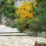 Cliquez sur la vignette pour obtenir l’agrandissement maximal.