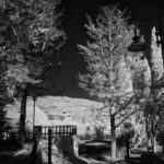 Cliquez sur la vignette pour obtenir l’agrandissement maximal.