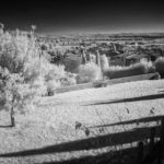 Cliquez sur la vignette pour obtenir l’agrandissement maximal.