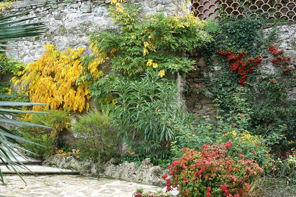 Au pied de la rampe, à la jonction entre le verger et la petite terrasse arrière.