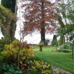 Cliquez sur la vignette pour obtenir l’agrandissement maximal.